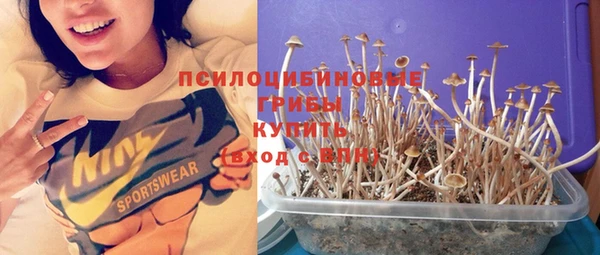 mdma Заволжск