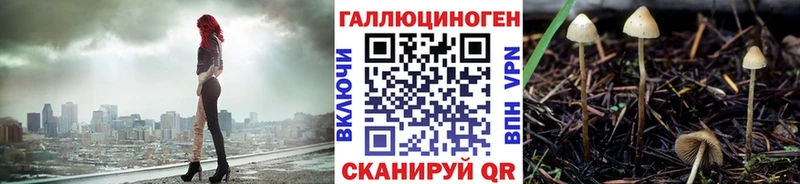 дарнет шоп  Новомосковск  Псилоцибиновые грибы ЛСД 